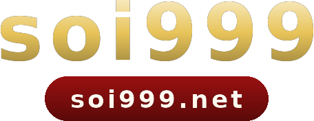 soi999 โลโก้
